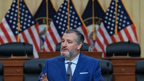 Ted Cruz says he doesn't mind that his $1,000 investment account plan for babies is now called 'Trump accounts'