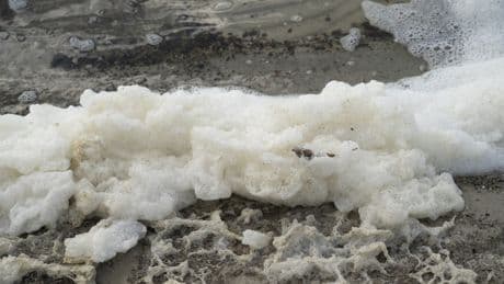 Seltsamer Schaum in Flüssen und Seen: Was Sie darüber wissen müssen