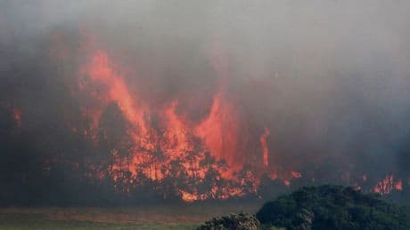 Wildfire alert as 'significant plume of smoke' spreading into residential areas