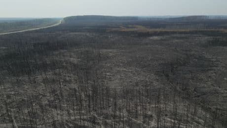 Thousands of Saskatchewan wildfire evacuees return home after weeks away