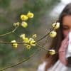 Les allergies croisées aux pollens et à certains fruits augmentent