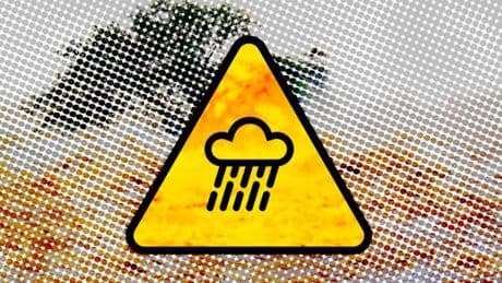Orages : six départements du Nord-Est en vigilance orange, samedi