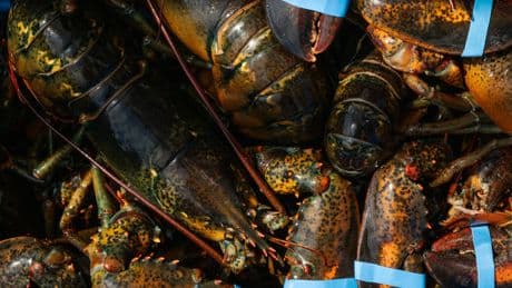 What Lobsters and Chickens Reveal About Europe’s Trade Strategy