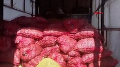 Sakarya'da 3 milyon TL değerinde kaçak midye ele geçirildi