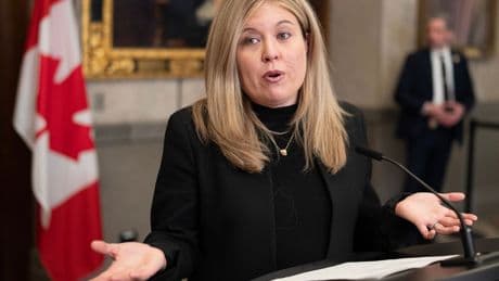 Measles outbreak can be traced to Trudeau politicizing COVID vaccines, Tory MP claims