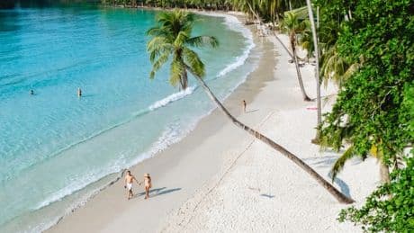 Parfüms im Test: Diese gewagten Düfte feiern den Sommer