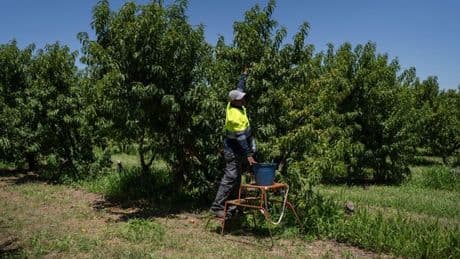 España, el país con más desempleados de Europa, empieza a tener provincias sin paro