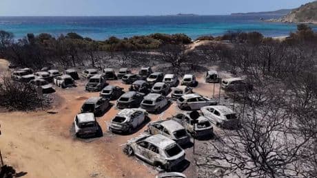 Waldbrände auf Sardinien - Flammen zerstören Dutzende Autos