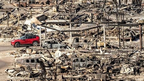 Flächenbrände: 100 Tage nach dem Inferno - ein langer Weg für Los Angeles