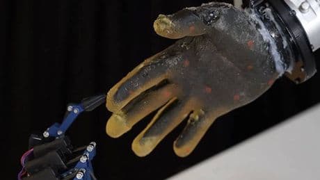 Crean una mano robótica con piel 'casi humana' y consiguen que sea capaz de sentir dolor
