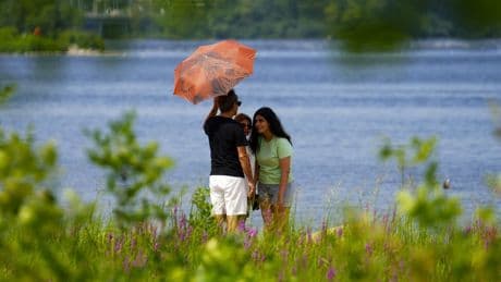 Group calls for extreme heat protections as Ontario swelters