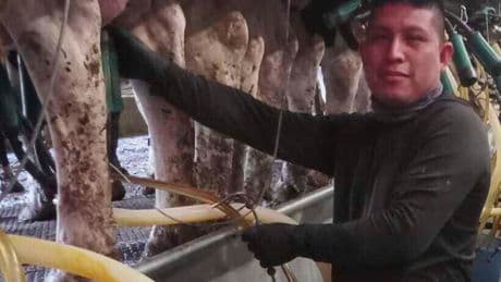 A Vermont dairy farm was raided. The mixed messages from Washington since then have increased fears