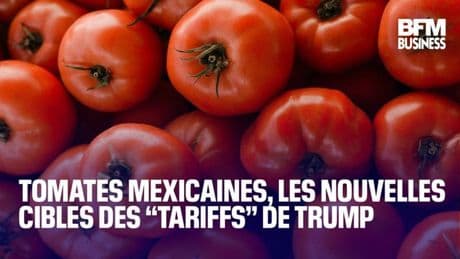 Tomates mexicaines, les nouvelles cibles des ‘‘tariffs’’ de Trump