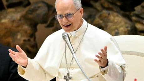 Papst fordert Freilassung inhaftierter Journalisten