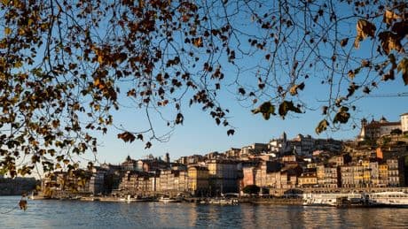 Why north Portugal is ideal for a last-minute getaway