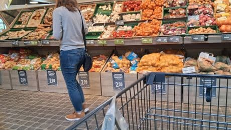 Ernte schrumpft um 50 Prozent: Supermärkten könnten deutsche Kartoffeln ausgehen