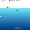 What lies beneath: Interactive graphic reveals the creatures and shipwrecks that lurk in the deep sea - as study reveals we still don't know what's hiding on 99.999% of the ocean floor