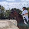 Équitation. Pierre-Antoine Saunier s’adjuge le challenge Pro 2 préparatoire