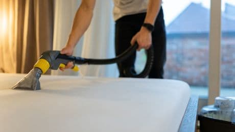 Milbenalarm im Bett? So werden Sie die unsichtbaren Mitbewohner los