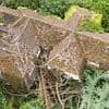 Tragic reason why £3m overgrown mansion was left abandoned with TWO sports cars and rooms full of luxury belongings still inside