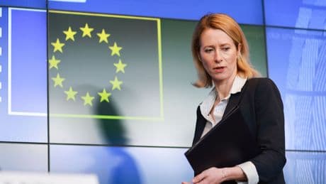 Kallas y varios ministros de Exteriores europeos celebran en Ucrania el Día de Europa