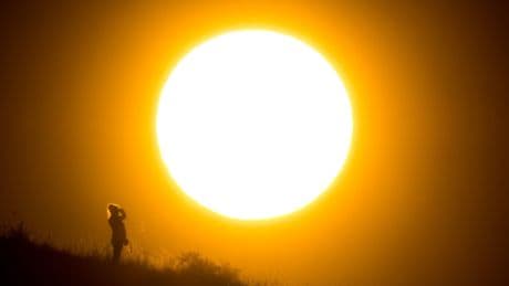 Prognosen über das Klima: Die Angst vor dem Hochsommer