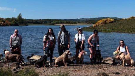 Dog walker hosts XL Bully 'pack walk' for owners facing abuse around the ban