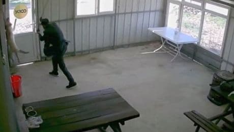 81 yaşındaki şahıs köpeğe dehşeti yaşattı