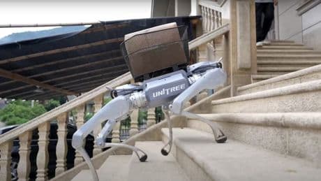 Un chien robot qui brise des vitres: Unitree dévoile son "chasseur stellaire"