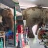 KIJK. Misdadige olifant heeft honger en plundert Thais winkeltje