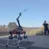 ETH Zürich: Vierbeiniger ANYmal-Roboter spielt Badminton