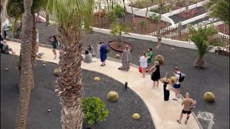 Handtuch-Wahnsinn auf Lanzarote - Deutsche Urlauber stehen für Pool-Liegen Schlange