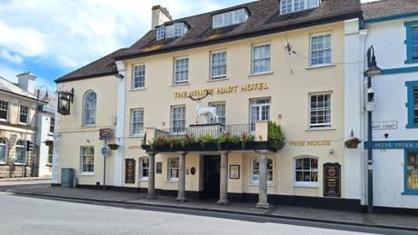 Man arrested after ‘threatening people with axe in Wetherspoon pub’