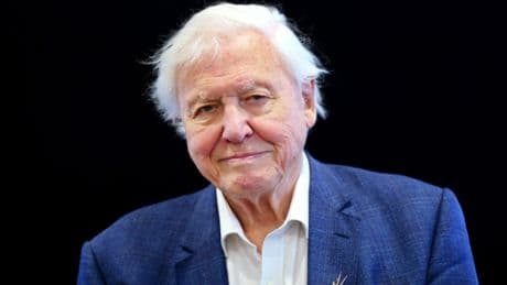 David Attenborough’s next documentary series has BBC release date confirmed