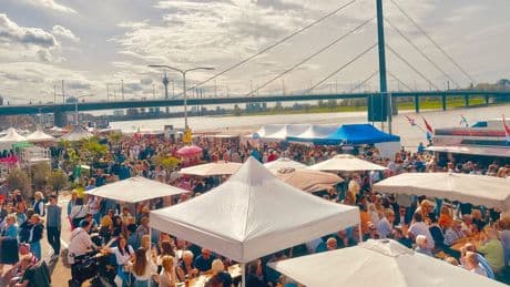 Düsseldorf: Fischmarkt verwandelt Rheinufer in Ibiza