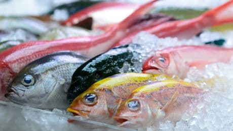 El aviso de un pescadero sobre el tipo de pescado que comen los niños: &quot;No todos son seguros&quot;