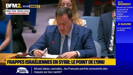 ONU: le représentant israélien s'exprime sur les frappes en Syrie