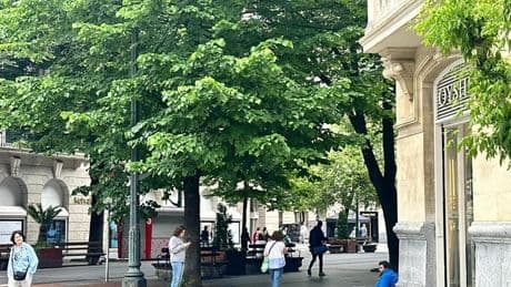 Adiós a Argi, el perro del 'sintecho' que vive en la Gran Vía