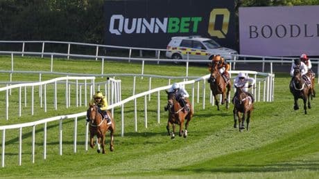 State Man wins at Punchestown but Constitution Hill runs a dismal race and is beaten out of sight