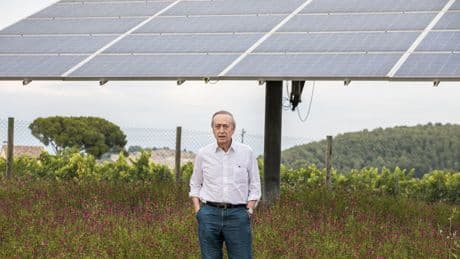 Familia Torres: la transformación verde de una bodega centenaria