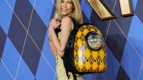 Fußball: Claudia Schiffer steigt beim FC Brentford ein