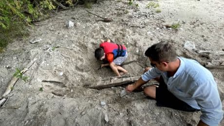 Un niño con un detector de metales descubre un naufragio de hace dos siglos enterrado bajo la arena en una playa de Canadá