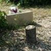 Macron condemns 'act of hatred' after tree memorial for murdered Jew is cut down