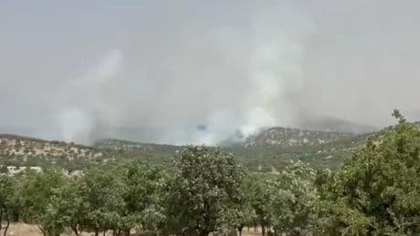 Mazıdağı’da orman yangını | DEM Partili Aydeniz: Geçen yılki trajedi yaşanmasın
