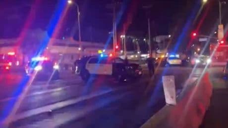 Car ploughs into crowd in Los Angeles leaving at least 20 injured