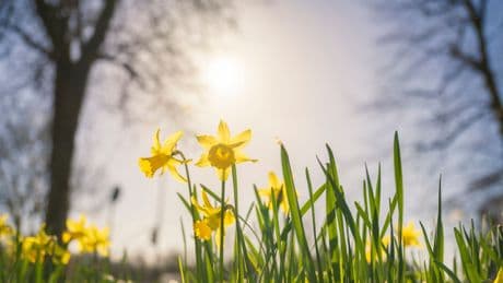 UK has its sunniest spring since records began