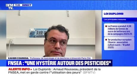 Loi Duplomb: l’acétamipride, l’insecticide au cœur des débats