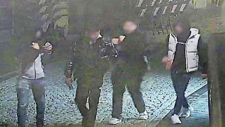 Vier verdachten opgepakt voor verkrachting jonge vrouw in Maastricht