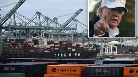 Shipments from China to drop by 35% next week due to Trump tariffs, Port of LA chief warns