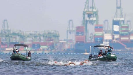 Freiwasser-WM in Singapur: Dritter Titel: Wellbrock schwimmt erneut zu WM-Gold